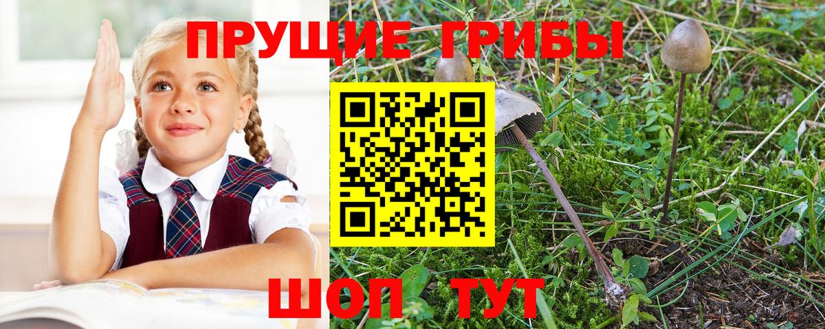 Новый Уренгой  Галлюциногенные грибы прущие грибы  Вход с VPN 