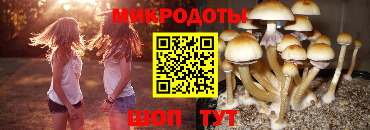 Галлюциногенные грибы GOLDEN TEACHER Новый Уренгой